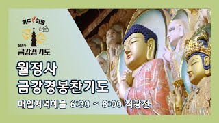 금강경 봉찬 저녁 온라인 기도 | 2024년 12월 29일 일요일 저녁 6:30~8:00