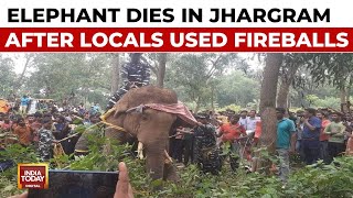 A Herd Comprising 4 Elephants Enter Jhargram | 1 Elephant Succumbed To Death After Being Attacked