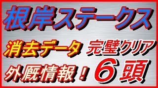 根岸ステークス2020　消去データ