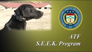 ATF S.E.E.K. PROGRAM