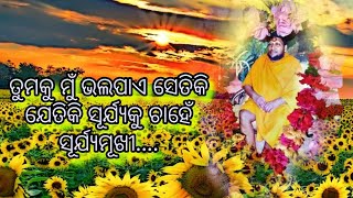 ତୁମକୁ ମୁଁ ଭଲପାଏ ଯେତିକି