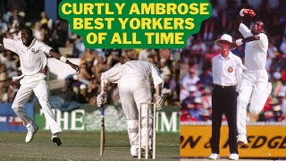 Curtly Ambrose Yorker Compilation | Ambrose Tallest Cricketer