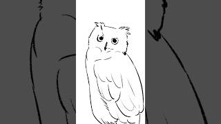 【イラスト】シベリアワシミミズク #イラスト #イラストメイキング  #フクロウ #owl #eagleowl #illustration