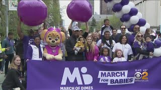 March For Babies Rolls Through Midtown