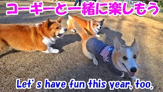 コーギーと一緒に楽しもう！Let’s have fun this year, too.