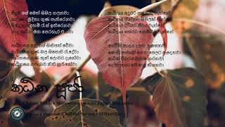 Chalani Sithara Millawitiya - කඨින පූජා [kathina puja]