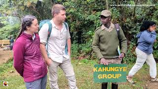 Uganda Gorilla Trekking tour | Bespoke gorilla safaris in Uganda