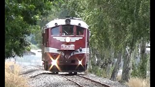 RM 31 'Tokomaru' At Whanganui Vintage Weekend 2020