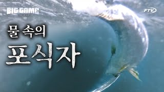 물 속의 포식자 방어! 인내 끝에 만끽하는 소나기 입질! [빅게임 더 와일드/5,6회]