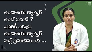 అండాశయ క్యాన్సర్ అంటే ఏమిటి ? ఈ లక్షణాలు ఉన్నవారికి అండాశయ క్యాన్సర్ వచ్చే ప్రమాదముంది