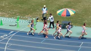 2017年度兵庫県IH_東播地区予選会_女子800mタイムレース決勝2組目