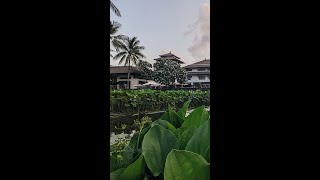 Inside InterContinental Bali: Unveiling a World of Timeless Luxury and Culture