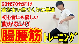 【筋トレ初心者必見】動かない筋トレで足腰強化！腸腰筋特化トレーニングで正しい姿勢とバランスを向上させる方法