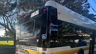 Honolulu TheBus Route 20, Bus 183