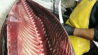 How to cut yellow fin tuna, Scottish salmon, bronzini, bronzinos, Mediterranean seabass, lubinas