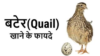 दोस्तों अगर आप नॉनवेज खाते हो😱बटेर रेसिपी जरूर खाऐं(Quail)Recipe Saudi style||#Quail Benefits 2022