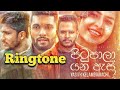 pitupala yana as ringtone yasitha kelambiarachchi sinhala ringtone පිටුපාලා යන ඇස්