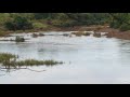 kajli river at village ghativale bendre wadi