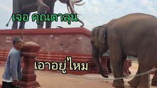 เหตุระทึก❗ยามเช้าตอนมาทำความสะอาดให้ปู่ทองใบ❓