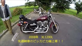 17 №213　ハーレーで朝駆け　2008年XL1200L先週納車の桜井さん～FP3の使い方はどうなんでしょう！？．．．の巻