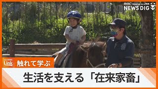 動物に触れて学ぶ　生活を支える在来家畜を知る「家畜ふれあいまつり」　沖縄こどもの国