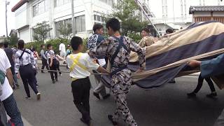 4K　兵崎町の幌獅子　幌獅子總揃　石岡のおまつり2019 初日　C0028