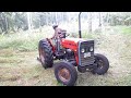 ටැෆේ ට්‍රැක්ටරයෙන්  තණකොල කැපීම 🌾🌱 🌿 cutting grass with a tafe tractor 🚜 🔥 tractor video