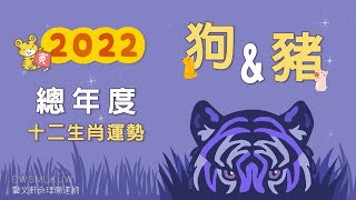 【2022年壬寅虎年】藝文軒十二生肖年度總運勢【狗🐕】\u0026【豬🐖】篇