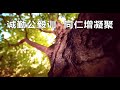 会歌Chia Pow Soo Hakka Clan Association song