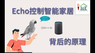 当鹦鹉对Echo说开灯时都发生了什么？本视频揭示Amazon Echo控制智能家居背后的工作原理