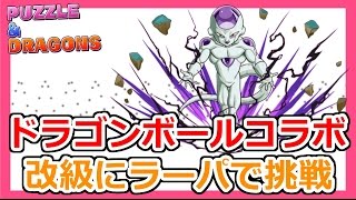 【パズドラ】ドラゴンボールコラボ改級！ラーパで挑戦！Part76【ろあ】