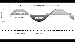 Vāk—Evolution of Speech