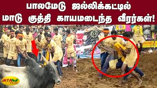 பாலமேடு ஜல்லிக்கட்டில் மாடு குத்தி காயமடைந்த வீரர்கள்! | Palamedu Jallikattu 2021 | jallikattu 2021