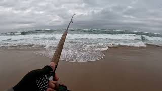 OFFROAD4LIFE, Fishing in Isipingo for Garrick and Kingfish, Shad catch and release