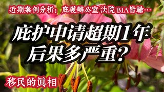 庇护投递超期1年后移民局移民法院BIA皆输的案例/巡回法院可以裁决超期1年庇护资格问题吗？巡回法院期庇护工卡可更新吗？