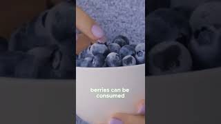 Unlock the Vision Enhancing Power of Bilberries   Nature's Superfruit! FitBuzz