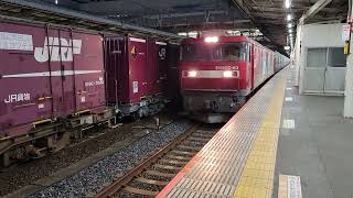 【貨物】金太郎EH500-63　コンテナ輸送　大宮駅通過