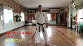 【Okinawa traditional kobudo】沖縄伝統古武道　釵の基本原則（Basic principles of Sai) Karate  KATA