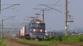 EF81・EF510貨物　羽越本線　間島・坂町付近　2014.06.17