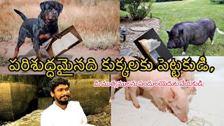 పరిశుద్ధమైనది కుక్కలకు పెట్టకుడి, మీ ముత్యములను పందులయెదుట వేయకుడి