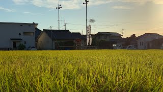 北条秋祭り2018 まつりびと