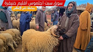 اليوم من سوق سبت اجلموس مع ثمن الحولي البرگي بتاريخ 22/02/2025