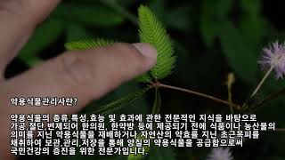 약용식물관리사 자격증 시험정보 취업 전망에 대해 간단히 알아봐요