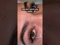 the best mascara i have ever tried makeup viral