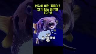 세상에 이런 동물이? 믿기 힘든 비주얼 TOP 5