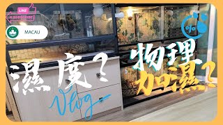 《我的豹龜日記》-- 日常分享vlog--濕度到底要怎麽弄?噴霧加濕氣原來對小豹不友好?物理加濕?養豹龜真的是十萬個為什麽 #澳門 #豹紋陸龜 #物理 #加濕