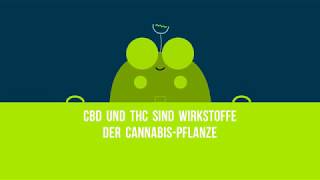 Was ist der Unterschied zwischen CBD Öl und Hanföl?