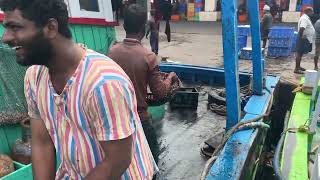 10 நாட்களுக்கு பிறகு கரைக்கு திரும்பிய படகு | தோட்டு கணவாய் 🦑  #fishing #sea