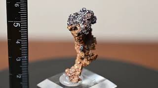 Cuprite on Copper/キュプライトオンコッパー PEANUTS MINERALS