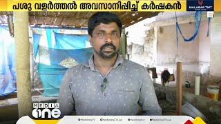 സർക്കാർ സഹായത്തിനായി നിയമപോരാട്ടം നടത്തി; ഒടുവിൽ പശു വളർത്തൽ നിർത്തി ഇടുക്കി സ്വദേശി